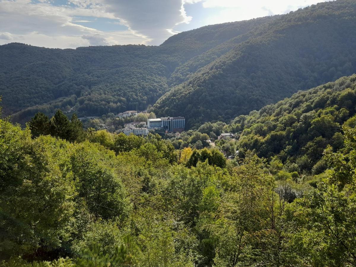 Turkish Retreat Bed & Breakfast Saadet Dış mekan fotoğraf